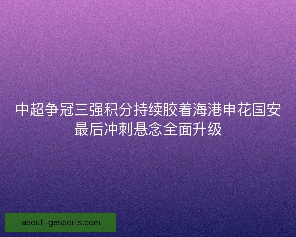 中超争冠三强积分持续胶着海港申花国安最后冲刺悬念全面升级
